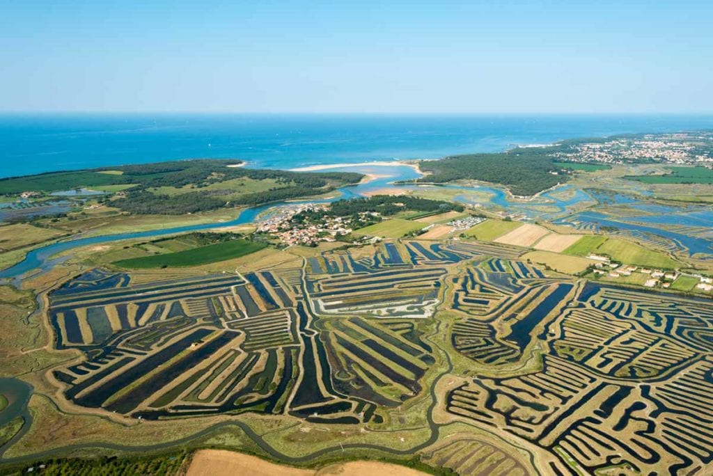 La Guittière et ses marais - Talmont-Saint-Hilaire, Jard sur Mer - Randonnée